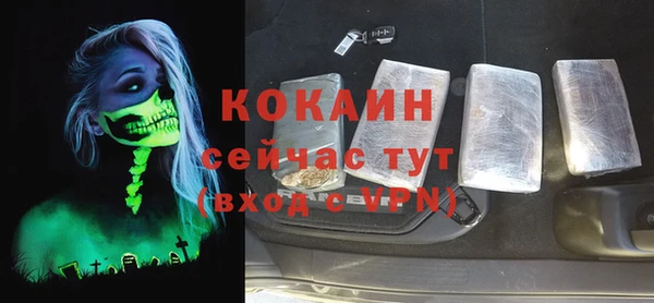 прущие грибы Армянск