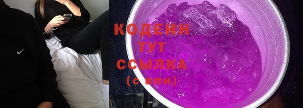 прущие грибы Армянск