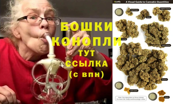 трава Аркадак