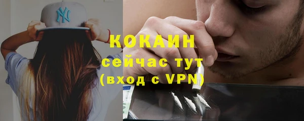 прущие грибы Армянск