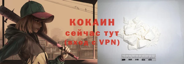 прущие грибы Армянск