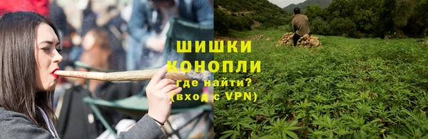 прущие грибы Армянск