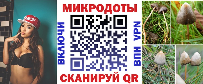 Псилоцибиновые грибы Magic Shrooms Купить Макаров